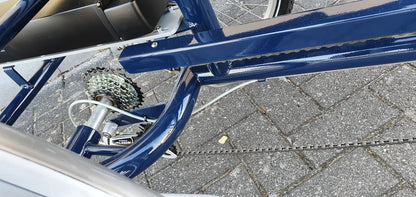 Y-Frame elektrische Driewielfiets