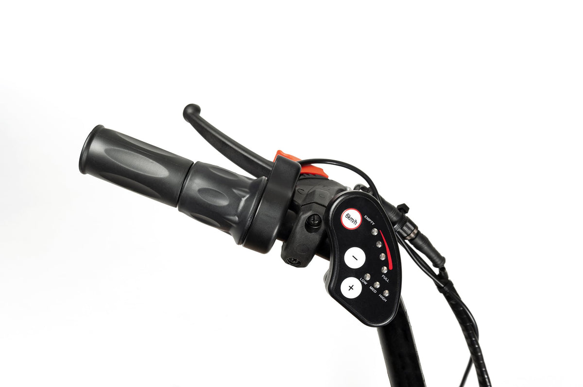 2219E Lagoon elektrische driewielfiets