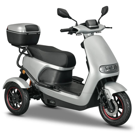 TR3 2.0 Zilver