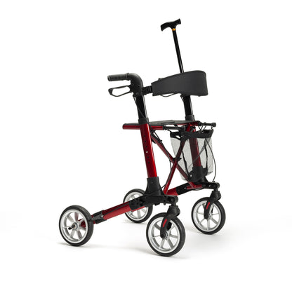 Quadri Light