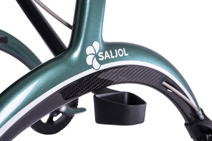 Carbon Rollator