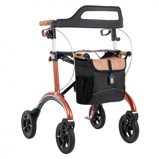 Carbon Rollator