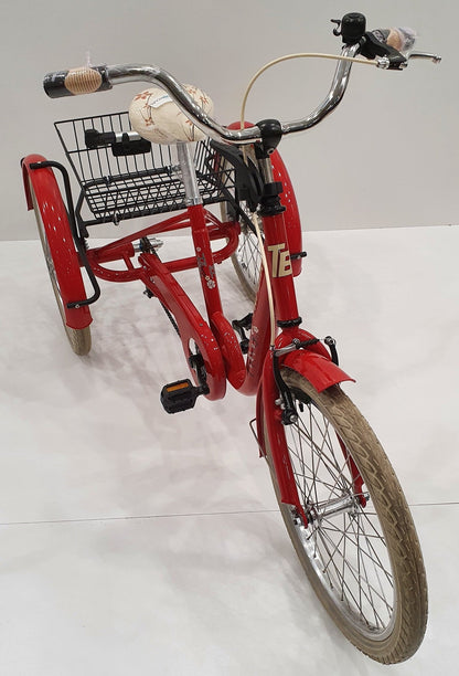FROGGY Kinderdriewielfiets